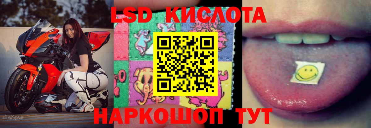 ЛСД экстази  LSD-25 экстази ecstasy  Шали  Вход с VPN  LSD-25 экстази ecstasy 