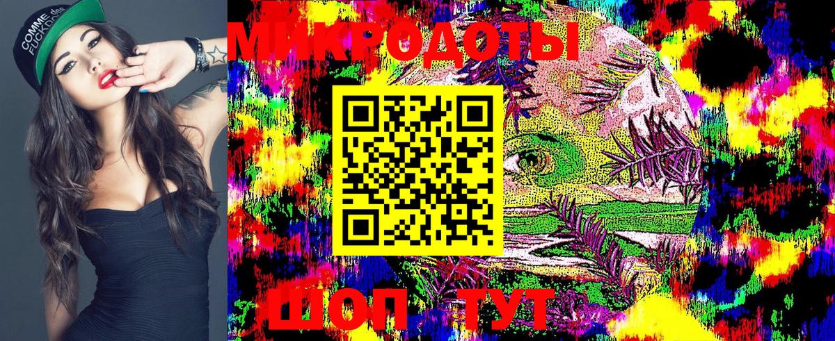Псилоцибиновые грибы Psilocybe Шали