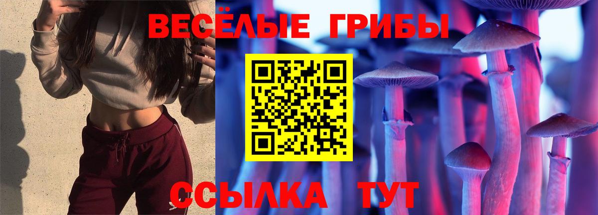 Шали  Псилоцибиновые грибы мицелий  Галлюциногенные грибы прущие грибы  Вход с VPN 